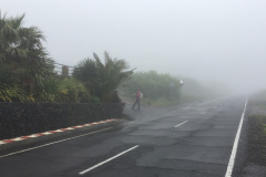 2019-0002-0402-0012-LF1