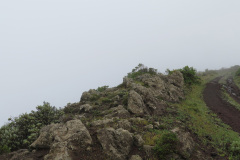 2019-0002-0402-0023-LF1