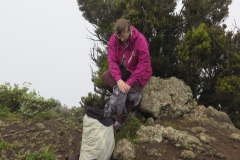 2019-0002-0402-0024-LF1
