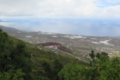 2019-0002-0402-0042-LF1