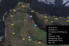 2019-0002-0403-0002-LF1