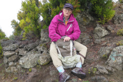 2019-0002-0404-0020-LF1