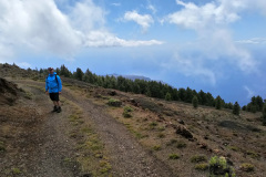 2019-0002-0404-0030-LF1