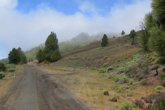 2019-0002-0404-0044-LF1