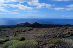 2019-0002-0405-0022-LF1
