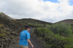 2019-0002-0405-0029-LF1