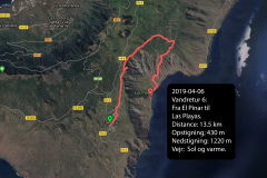 2019-0002-0406-0002-LF1