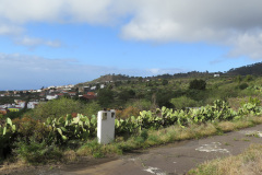 2019-0002-0406-0008-LF1