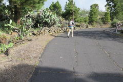 2019-0002-0406-0009-LF1