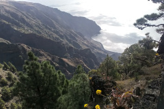 2019-0002-0406-0028-LF1