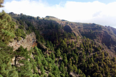 2019-0002-0406-0029-LF1