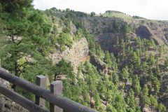 2019-0002-0406-0035-LF1