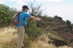 2019-0002-0406-0042-LF1