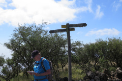 2019-0002-0406-0050-LF1