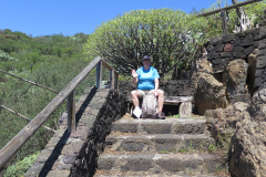 2019-0002-0406-0067-LF1