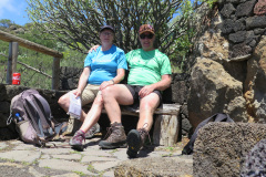 2019-0002-0406-0068-LF1