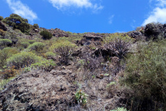 2019-0002-0406-0077-LF1