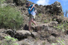 2019-0002-0406-0090-LF1