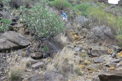2019-0002-0406-0115-LF1