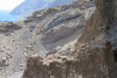 2019-0002-0406-0117-LF1