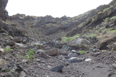 2019-0002-0406-0123-LF1