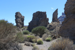 2019-0002-0409-0030-LF1