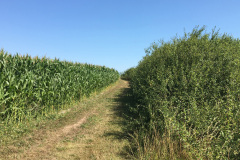 2019-0006-0726-0406-LF1
