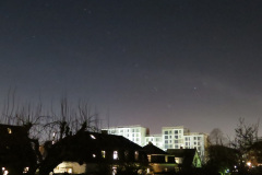 2019-0011-1231-0003-LF1