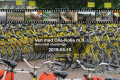 2019-0007-0818-0001-LF1