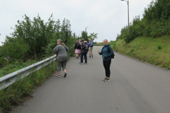 2019-0007-0818-0005-LF1