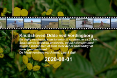 2020-0007-0801-0001-LF1
