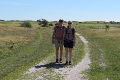 2020-0007-0801-0008-LF1