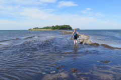 2020-0007-0801-0013-LF1