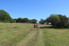 2020-0007-0801-0019-LF1