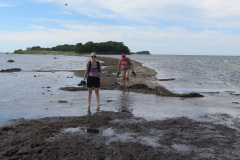 2020-0007-0801-0033-LF1