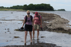 2020-0007-0801-0034-LF1