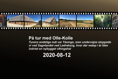2020-0010-0812-0001-LF1