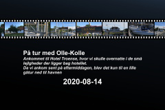 2020-0010-0814-0001-LF1