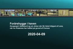 2020-0002-0409-0001-LF1