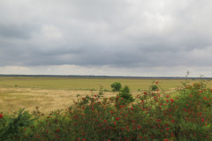 2021-0013-0813-0009-LF1