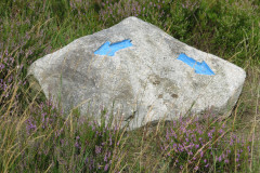 2021-0013-0813-0020-LF1
