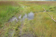 2021-0013-0813-0024-LF1