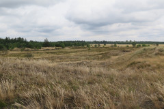 2021-0013-0813-0032-LF1