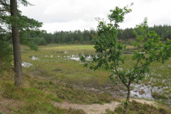 2021-0013-0813-0034-LF1