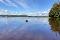 2022-0007-0904-0019-LF1