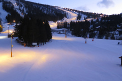 2022-0002-0311-0100-LF1