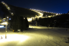2022-0002-0311-0108-LF1
