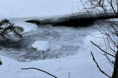 2022-0002-0312-0111-PF1
