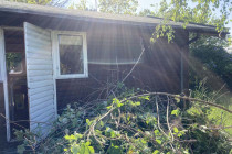 2022-0006-0529-0043-LF1