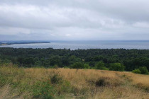 2022-0006-0828-0138-LF1